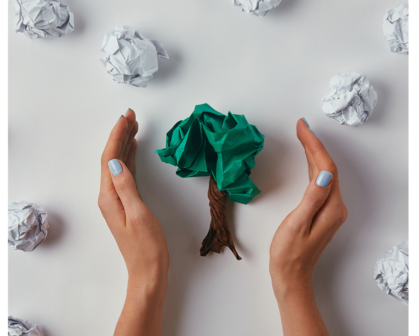 Embracing Print as a Sustainable Marketing Strategy